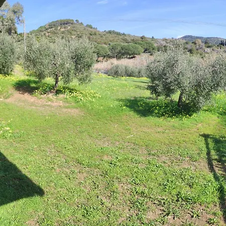 Casa * Lacona